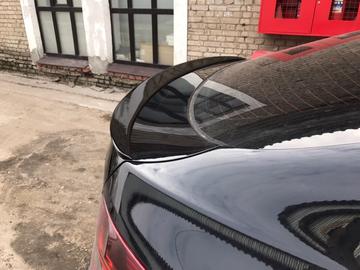 BMW X6 Е71 Спойлер