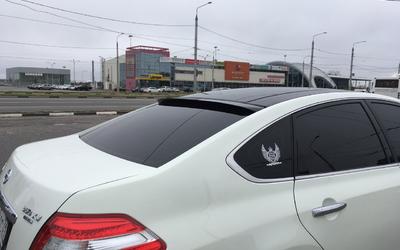 Спойлер (козырек) на заднее стекло